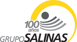 Grupo Salinas